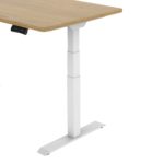 Hess PRO Programmable Electric Adjustable Table (Natural/ White)