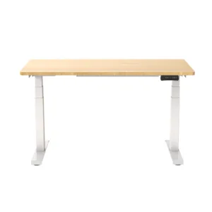 Hess PRO Programmable Electric Adjustable Table (Natural/ White)