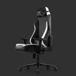 Kane X Professional Gaming Chair - Rebel (White)