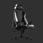 Kane X Professional Gaming Chair - Rebel (White)