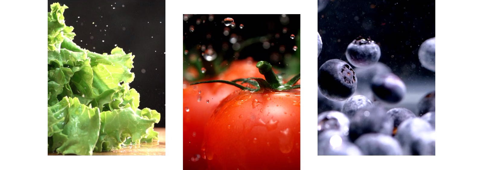 GT-B3952BL-Top_Freezer-linearcooling_desktop