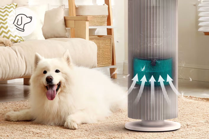 air-purifier-gp1-2025-as551gsy0-feature-05-1-pet-mode